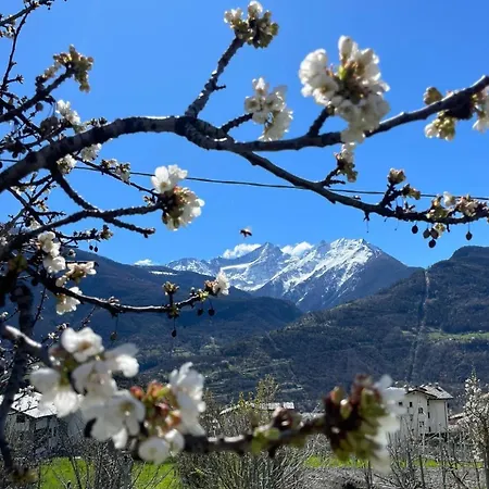 Maison Plan De Dieu Apartment *