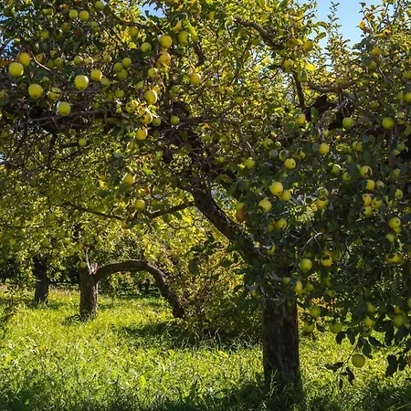 Maison Plan De Dieu Saint-Pierre