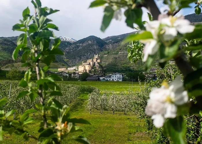 Lejlighed Maison Plan De Dieu