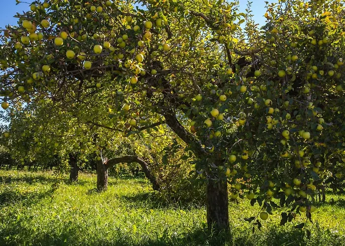Maison Plan De Dieu Saint-Pierre
